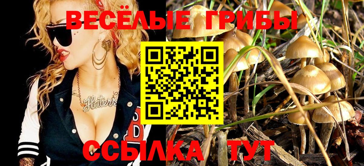 Галлюциногенные грибы мухоморы  Псилоцибиновые грибы GOLDEN TEACHER  Вход с VPN  Ставрополь 